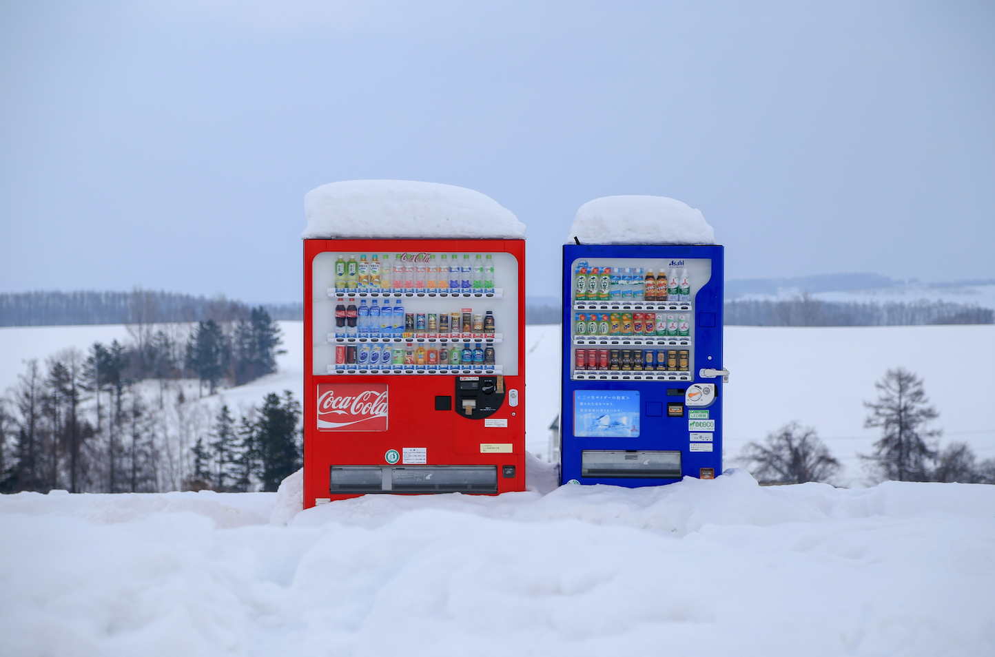 Guide to Japanese Vending Machines 2024