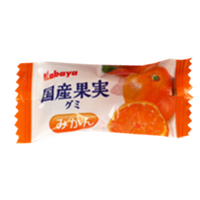 Kokusan Kajitsu Gummy 28 Pack x2