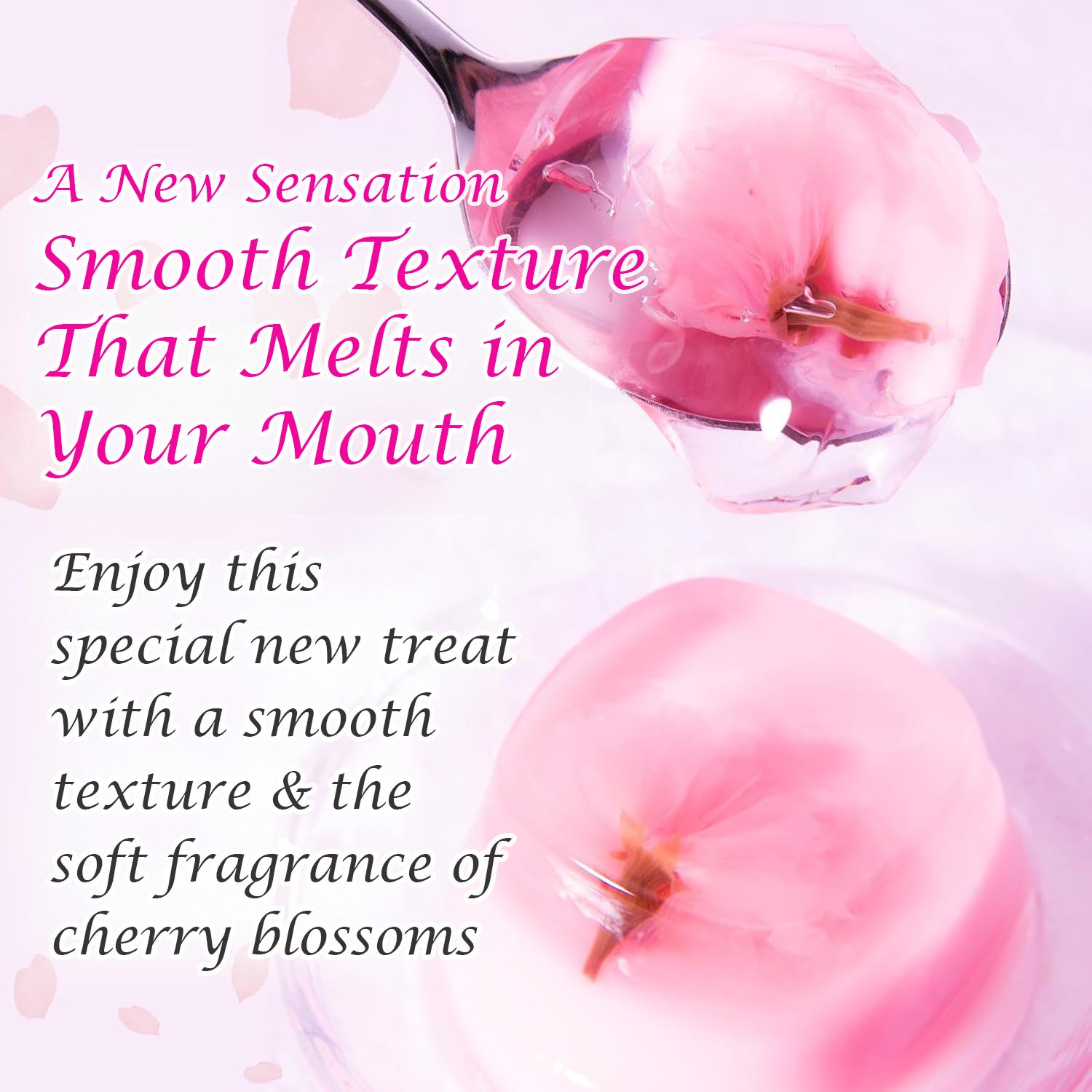 Sakura Sweets - Cherry Blossom Jelly Pudding Gift Box